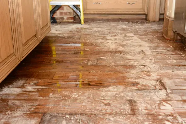 Water spread across a wood floor in front of kitchen cabinets after an appliance leak