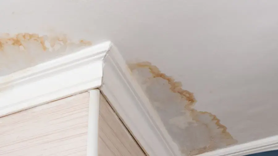 Water stain spreading across a ceiling above crown molding in a La Mesa home